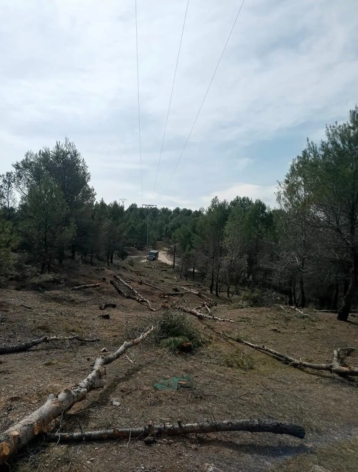Limpieza de líneas