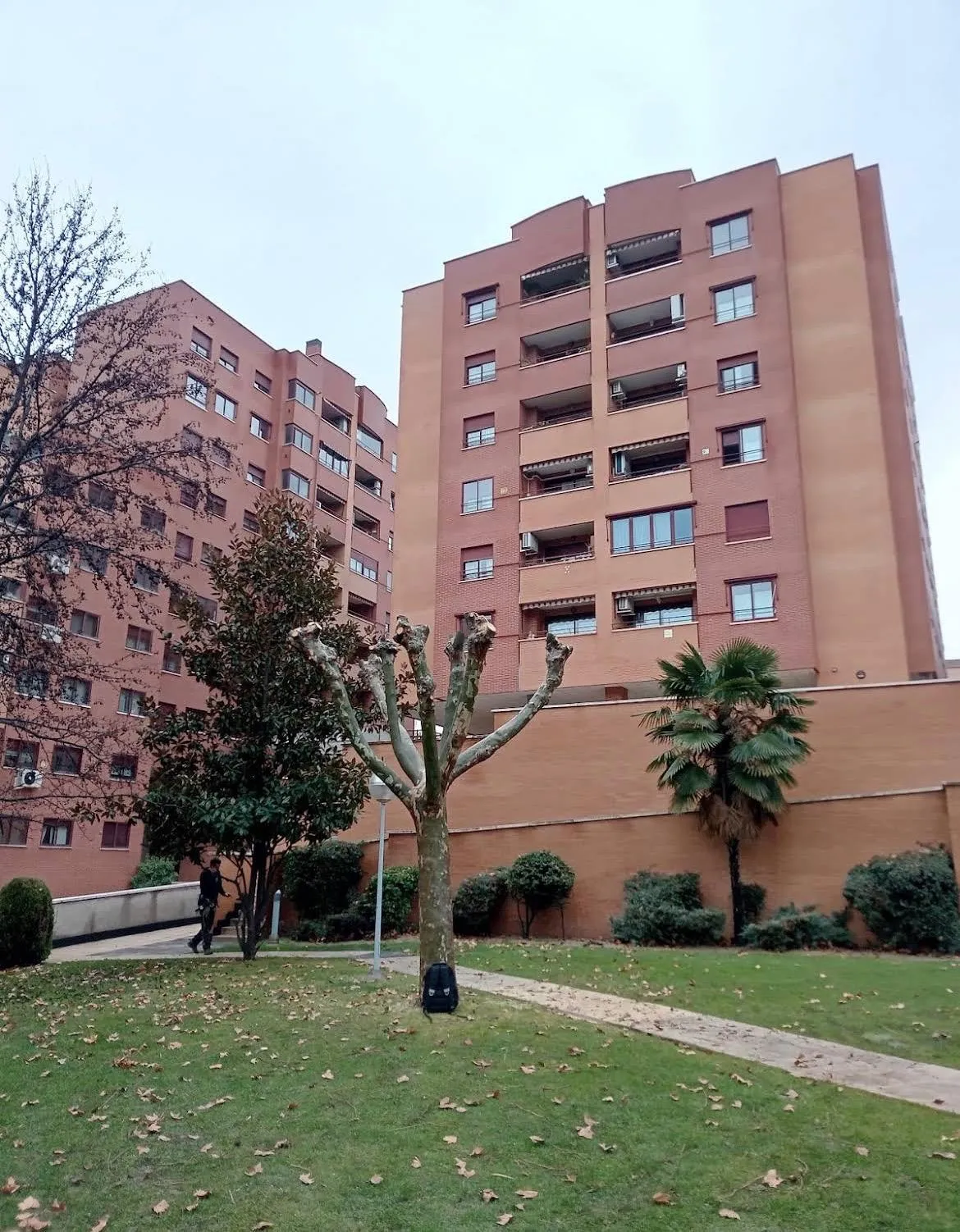 Trabajos de poda en altura